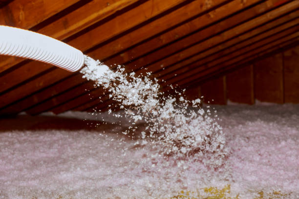 Best Insulation Installation Services in Ecru, MS